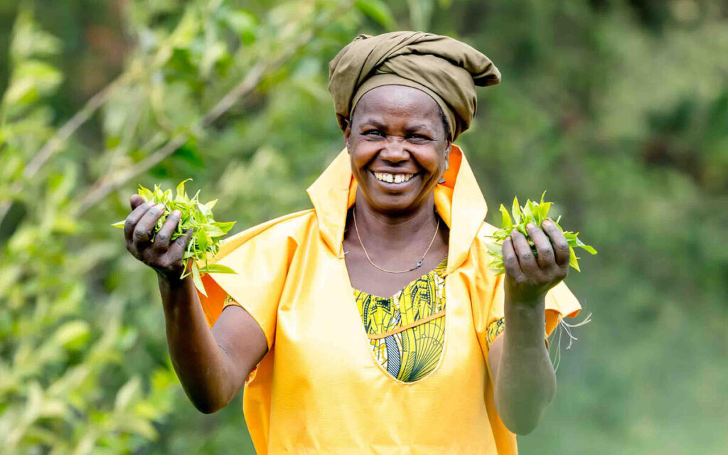 FAO Hand-in-Hand Investment Forum for Eastern Africa 2026